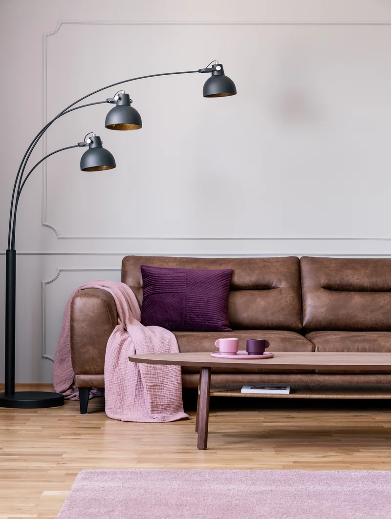 Leather furniture