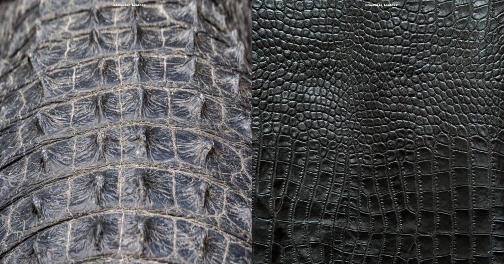 Crocodile vs Alligator Leather